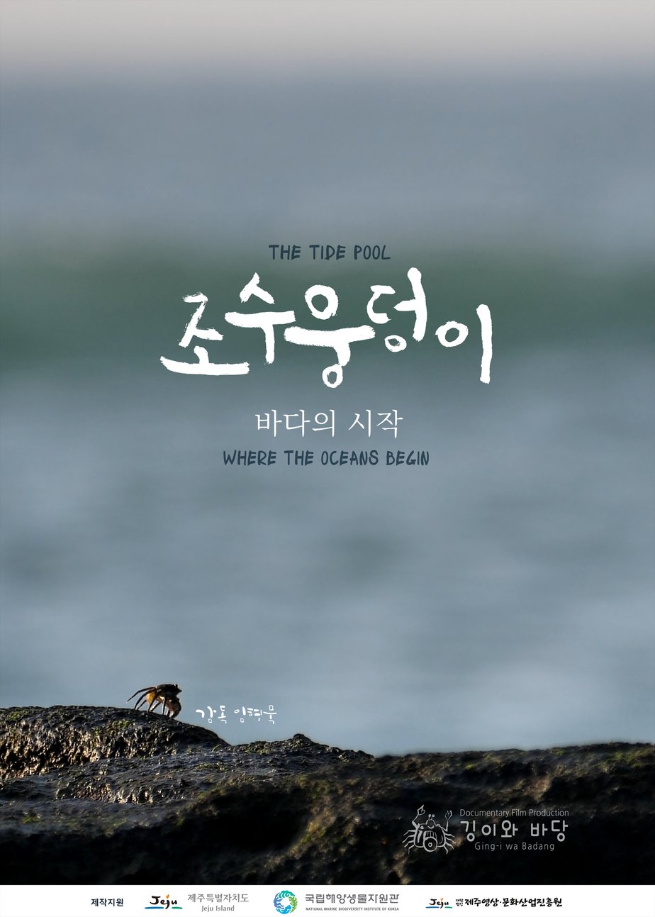 조수웅덩이: 바다의 시작 키비주얼
