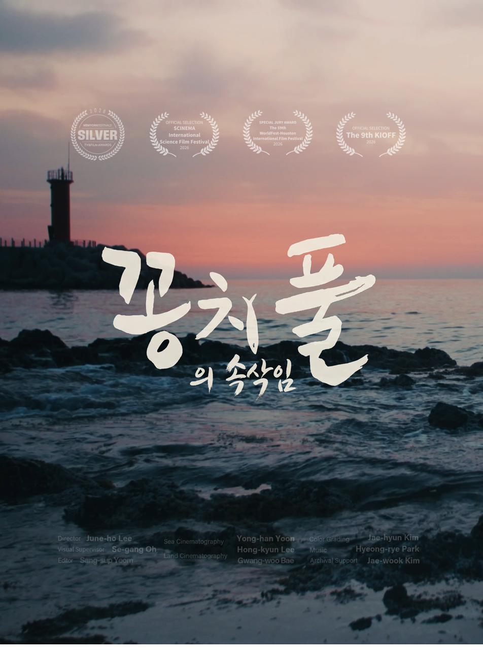 꽁치풀의 속삭임 포스터